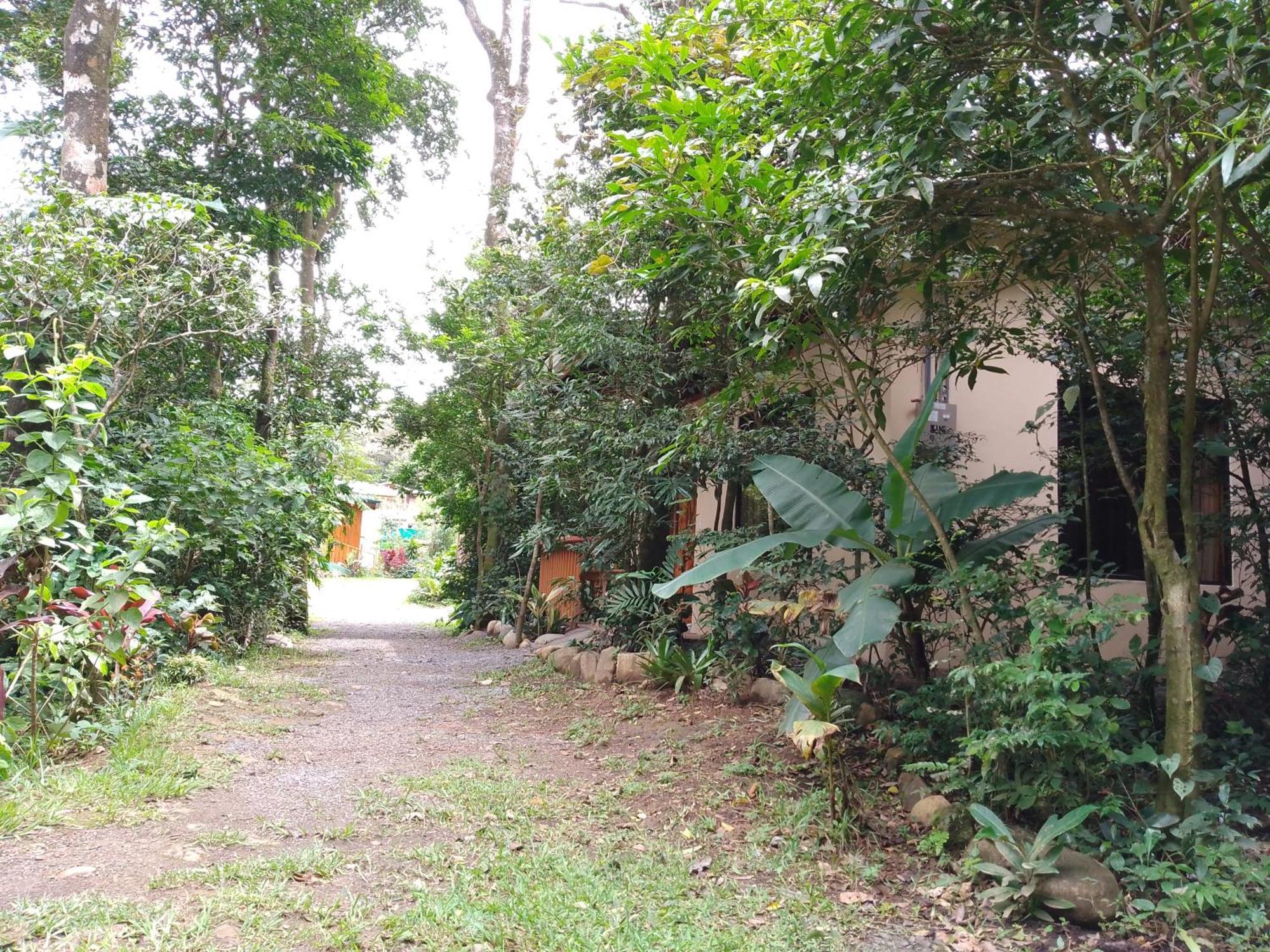 Casitas Del Bosque Monteverde. Zimmer foto